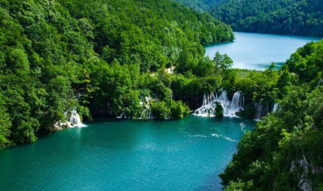 The Plitvice lakes ringed by forest